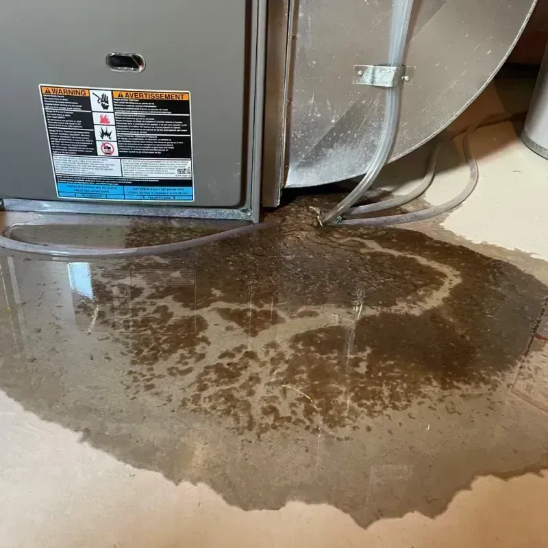 Appliance Leak Cleanup in Sparta, MO